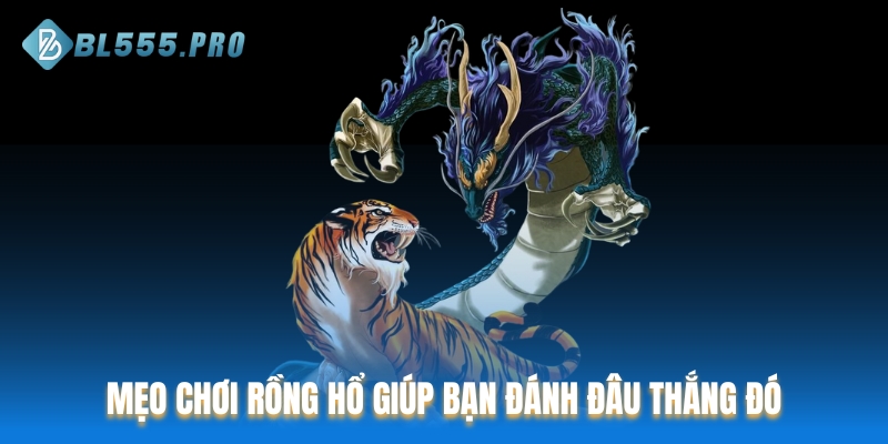 Mẹo chơi Rồng Hổ giúp bạn đánh đâu thắng đó